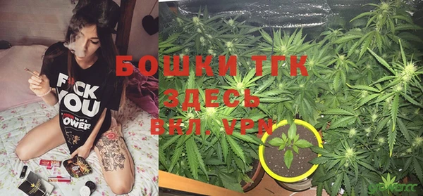 ПСИЛОЦИБИНОВЫЕ ГРИБЫ Богданович