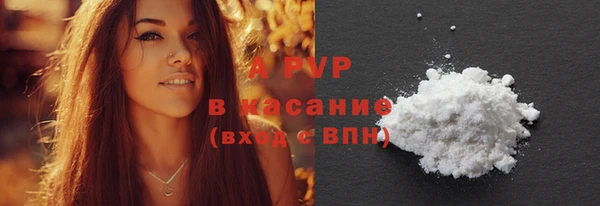 ПСИЛОЦИБИНОВЫЕ ГРИБЫ Богданович