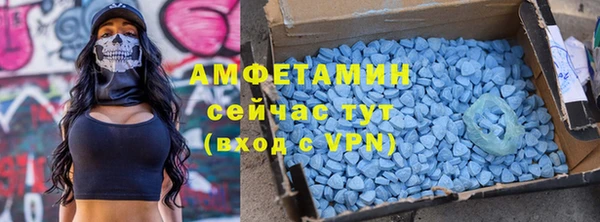ПСИЛОЦИБИНОВЫЕ ГРИБЫ Богданович