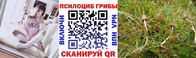 Галлюциногенные грибы GOLDEN TEACHER  наркота  Гаврилов-Ям 